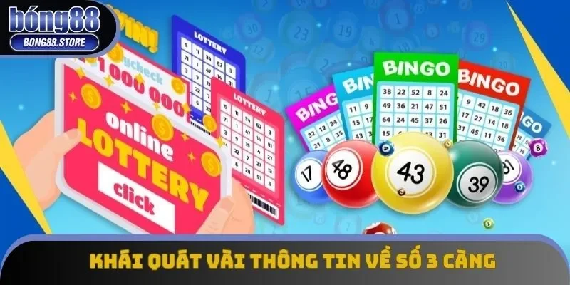 Khái quát vài thông tin về số 3 càng