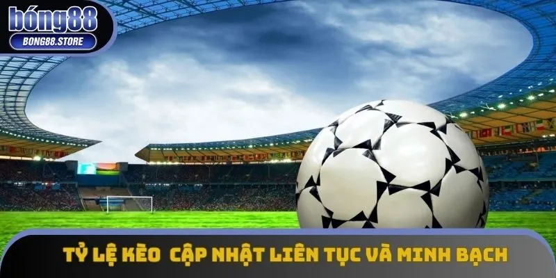 Tỷ lệ kèo cập nhật liên tục và minh bạch